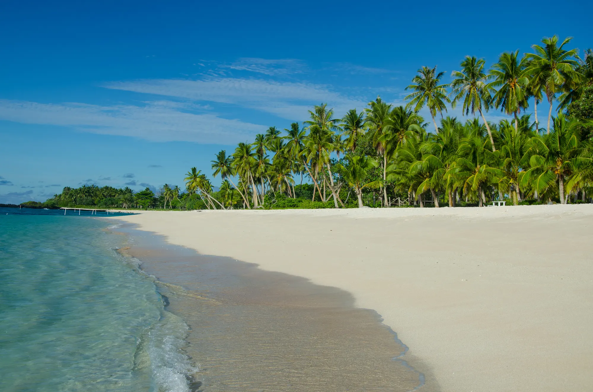 Spiaggia di sabbia bianca orlata di palme
